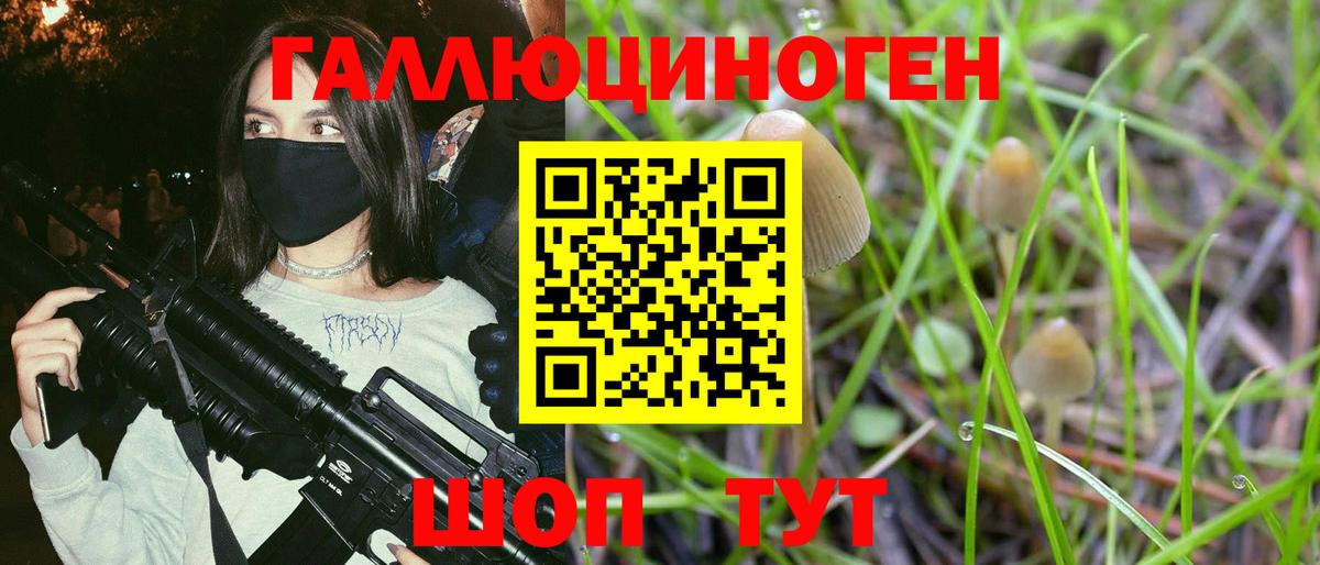 Псилоцибиновые грибы GOLDEN TEACHER Пыть-Ях